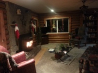 Christmas in a cabin with a fireplace? Sold. Plus the dogs...!